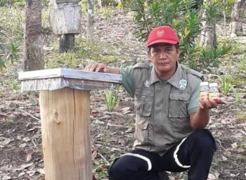 DBA Langgam Binaan Asian Agri Sukses Beternak Lebah Madu
